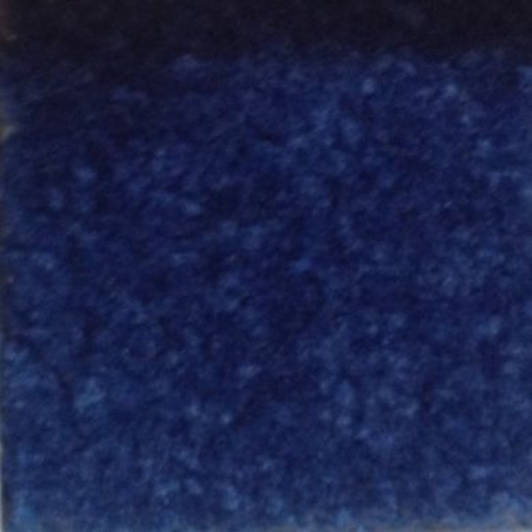 Salsa Blue Tile